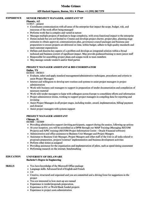 Project Assistant Resume Sample