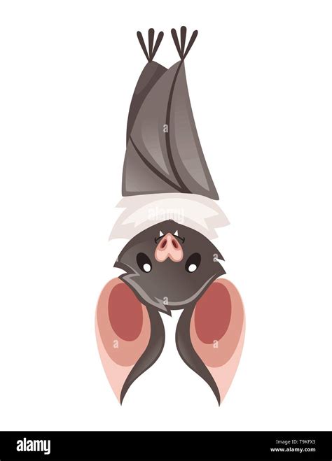 Top 151 Cartoon Bat Hanging Upside Down