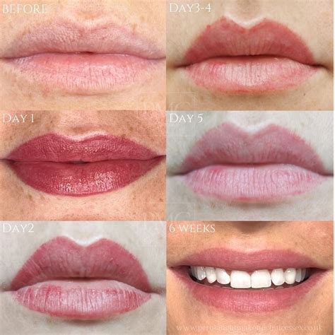 Lip Blush Healing Process Lip Blushing Tattoo Before And After In