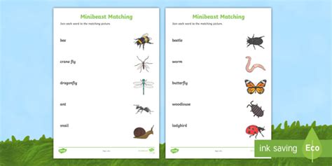 Minibeast Word And Picture Matching Worksheets Hot Sex Picture