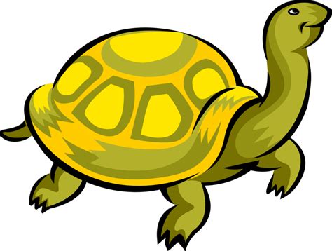 Clip Art Turtle Portable Network Graphics Illustration Vector Graphics