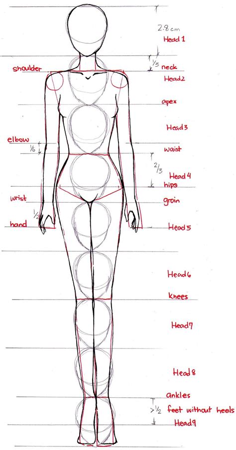 Female Human Body Sketch Body Base 2 By Michelle Mystery On