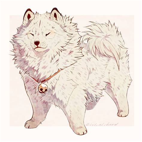 Anime Pomeranian Anime Cute Dog Drawings Pic Connect