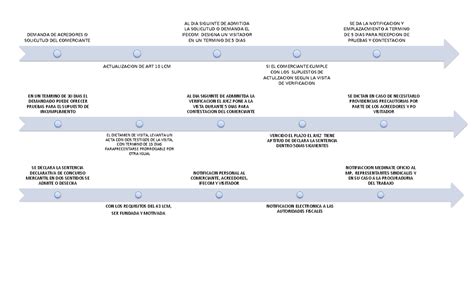 Concursal Linea De Tiempo Al Dia Siguinte De Admitida La Solicutud O