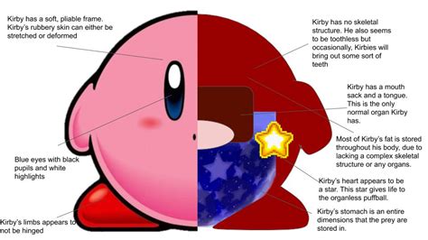 Kirbys Anatomy Kirby Amino