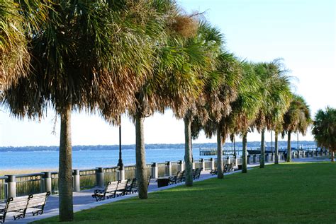 Centrally located in charleston, south carolina, this hotel offers contemporary amenities and spacious accommodations just minutes from charleston international airport, shopping and other area attractions. Historic Charleston, SC | Top Destinations :: Carolina Park