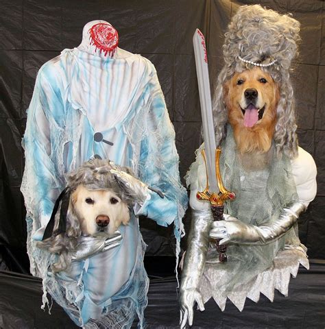 11 Terrifyingly Hilarious Dog Costumes Rover Blog