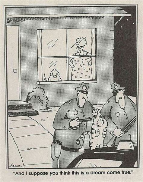 Pin By Janet Hibbard On ~its All About The Dogs ~ The Far Side Far