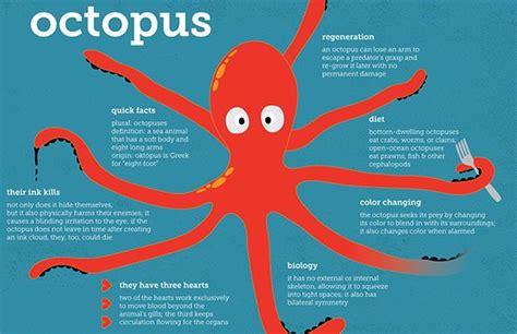 Pin By Tony G On Octopus Marine Biology Infographic Shocking Facts