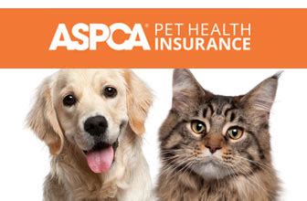 Aspca pet insurance premiums tend to be lower than both petplan pet insurance premiums and trupanion premiums in most categories. ASPCA Pet Insurance • Revuezzle