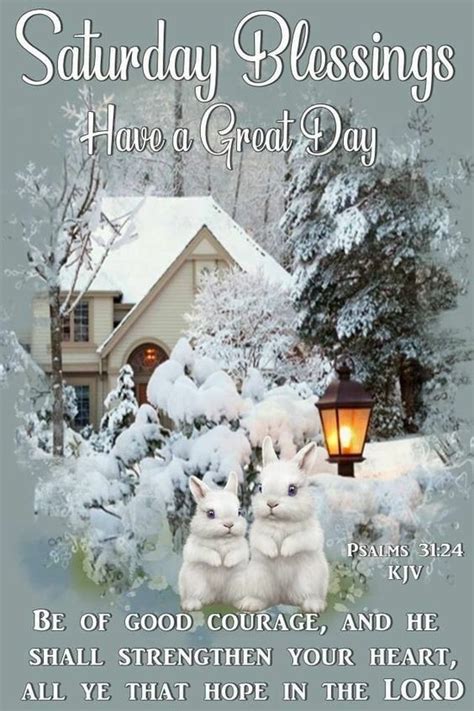 Snow Rabbit Saturday Blessings Pictures Photos And Images For