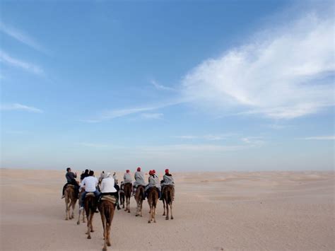 Tunisian Desert Douz Kebili Tunisia Photo Africa