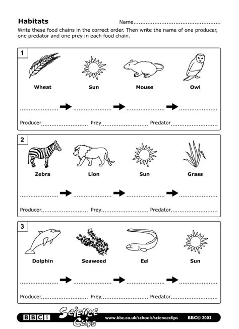Food Chains And Food Webs Worksheets