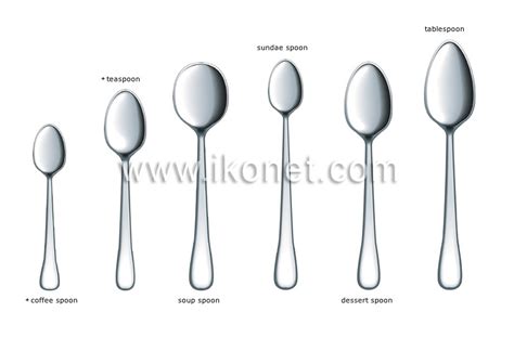 List Of Types Of Spoons Diagram Quizlet