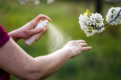 Woman Spraying Mosquito Repellant On Her Arms Stock Photo Image Of