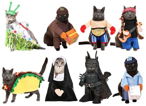 Pawsome Cat Costumes For A Purrfect Halloween Costume Guide