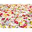Scattered Multi Colored Rose Petals Free Image