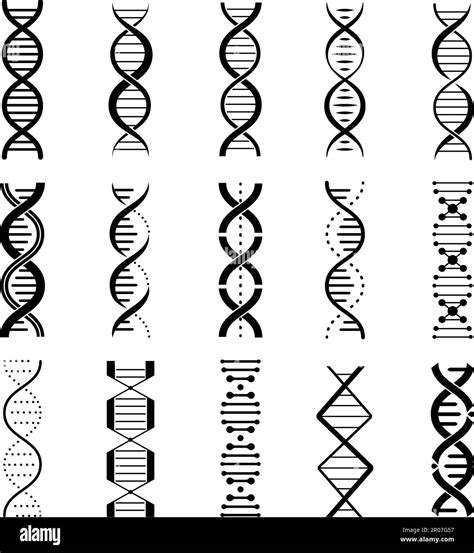 Dna Gene Icons Set Pictogramas Espirales De Genes Científicos