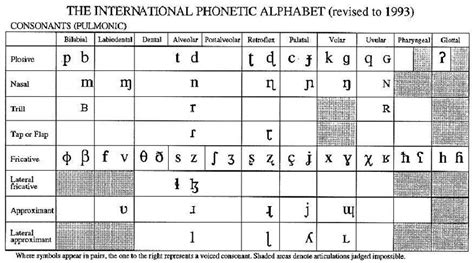 Pulmonic Consonants From The International Phonetic Alphabet Download