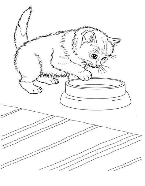 Desene Cu Pisici In Creion Usoare Blog Pisica