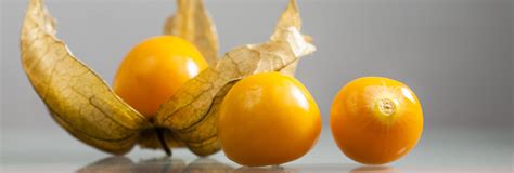 Get To Know The Uchuva Golden Berry The Fruit Of Love ⋆ The Costa