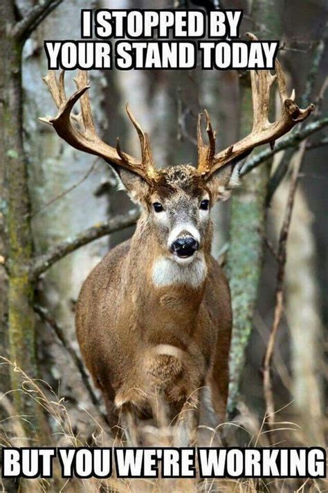 Just To Think So Many Sit In Their Tree Stands For Hrs Awaiting That