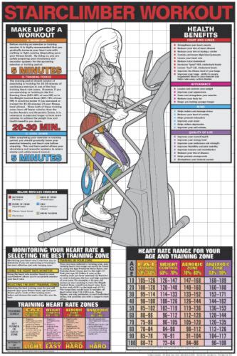 Stair Climber Workout Professional Fitness Gym Wall Chart 24x36 Poster
