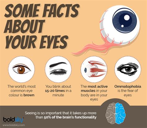 Researchers Explore How Human Eye Perceives Brightness