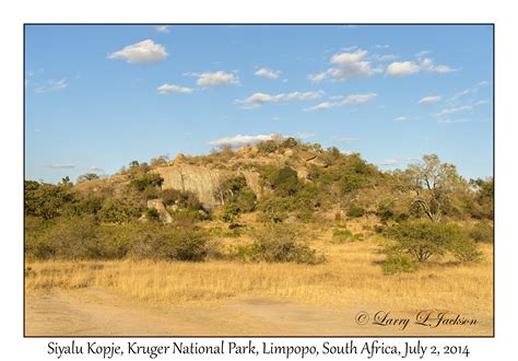 Kruger National Park Limpopo Underwater And Land Photography Ljax