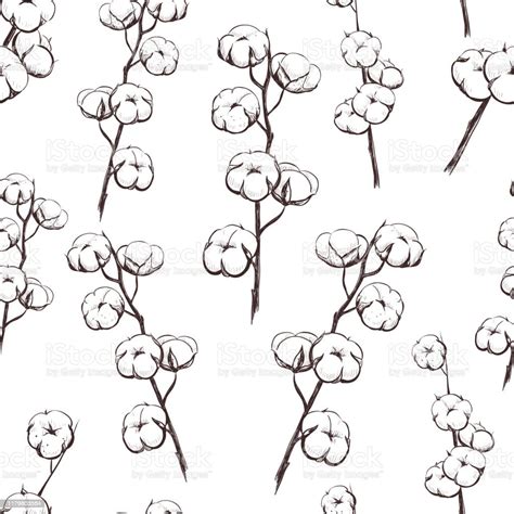 Cotton Plant Seamless Pattern Stock Illustration Download Image Now
