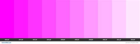 Tints Of Fuchsia Ff00ff Hex Color X11 Color Hex Colors Web Safe