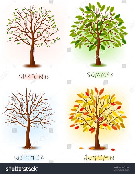 Each season lasts three months. Four Seasons Spring Summer Autumn Winter Stock Vector ...