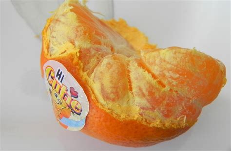 Tywkiwdbi Tai Wiki Widbee The Bright Orange Albedo Of Small
