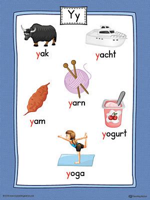 Letter Y Word List with Illustrations Printable Poster (Color