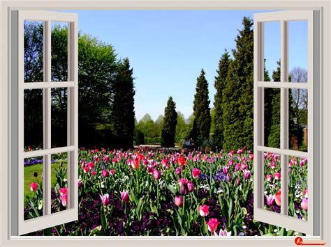 Открытое окно в сад картинки Много фото