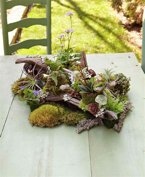 Tabletop Woodland Garden Better Homes And Gardens
