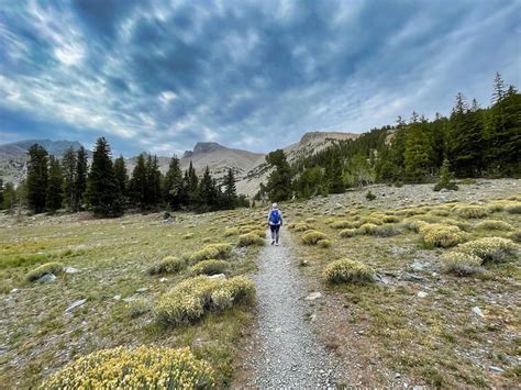 12 Best Hikes In Great Basin National Park