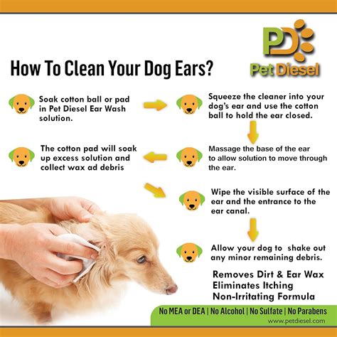 What To Use To Clean Dogs Ears Petswall