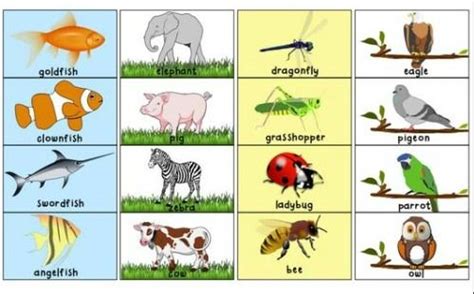 Animal classification is when scientists organize animals into groups and sort them by what they have in common. Printable Toddler Sorting Activity: Animal Classification ...