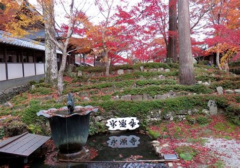 Eigenji Temple Higashiomi Tripadvisor