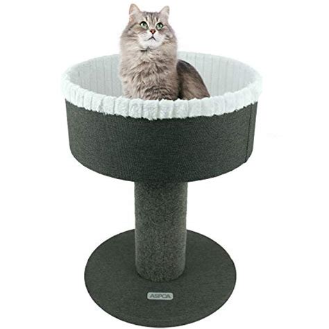 Aspca Modern Cat Pedestal Bed Furniture Condo For Scratch And Napping