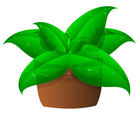 Free Plants Cliparts Download Free Plants Cliparts Png Images Free