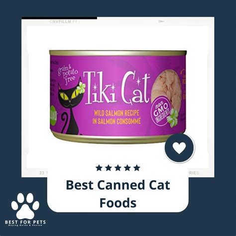 The 12 Best Canned Cat Foods Of 2023
