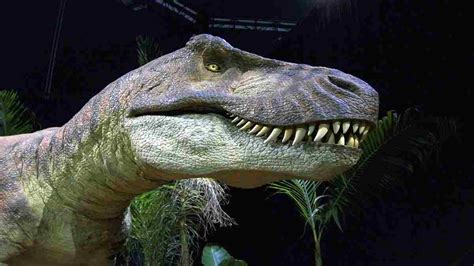 The Tyrannosaurus Rex Species Turns Out To Be Divided Into Three Types