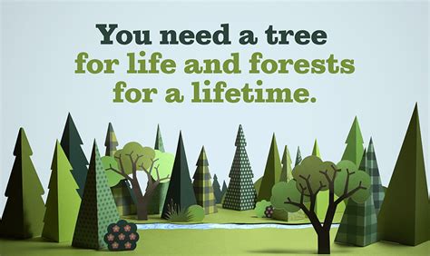 Dnr Forests For A Lifetime Campaign