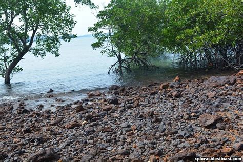 Set within negeri sembilan, port dickson is home to more than five pristine beaches and historical sites such as lukut museum and. Pulau Burung Pantai Cahaya Negeri Port Dickson - Jom ...