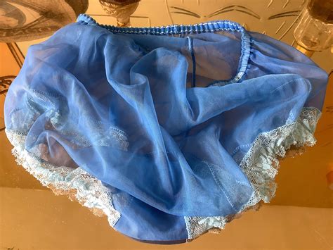Vintage Sheer Nylon Blue Panties Etsy