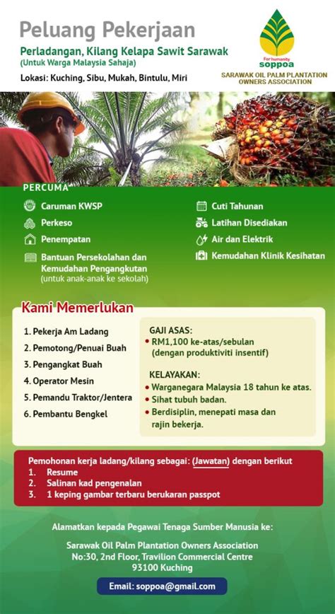 Provide training to retail and warehouse operation employees to develop their skills and enhance their job performance ensure fertilizer application, weeding, bush cleaning and other manual work in palm oil plantation. Career | Sarawak Oil Palm Plantation Owners Association