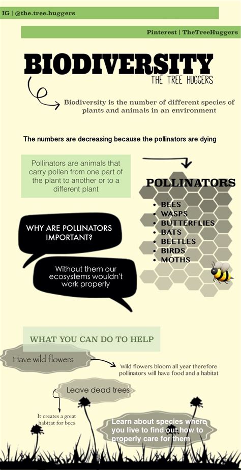 Biodiversity Infographic I Made This Infographic To Help People