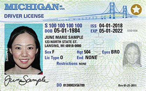 Michigan Dos Drivers License Application And Renewal 2024